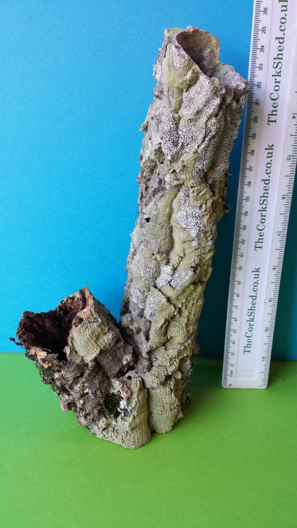 Set of 5 small cork bark tubes W5ST125 Cork Tubes Cork Bark Cork