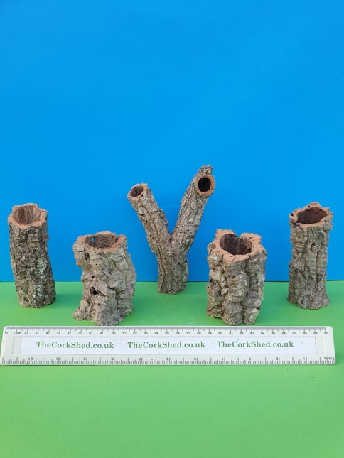 Set of 5 medium cork bark tubes W5MT7