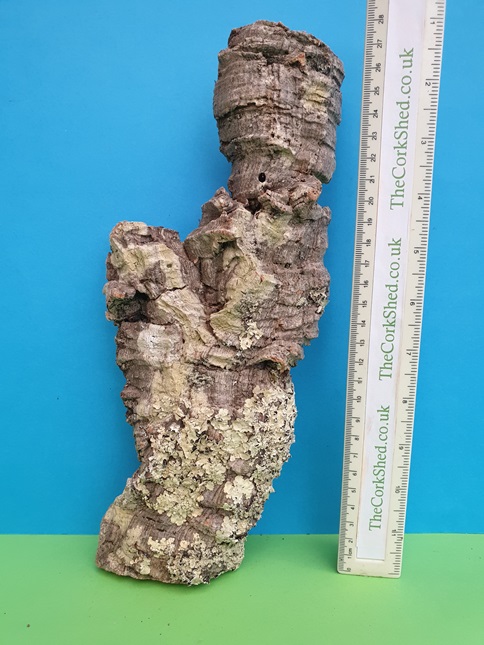 Plant Mount 28cm WOP35