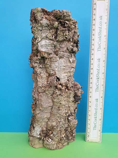 Plant Mount 26cm WOP36