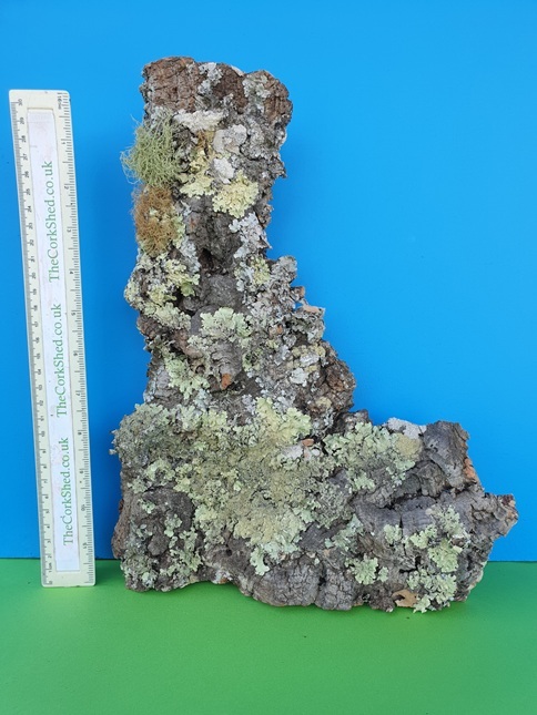 Basking Platform 32cm WBP186