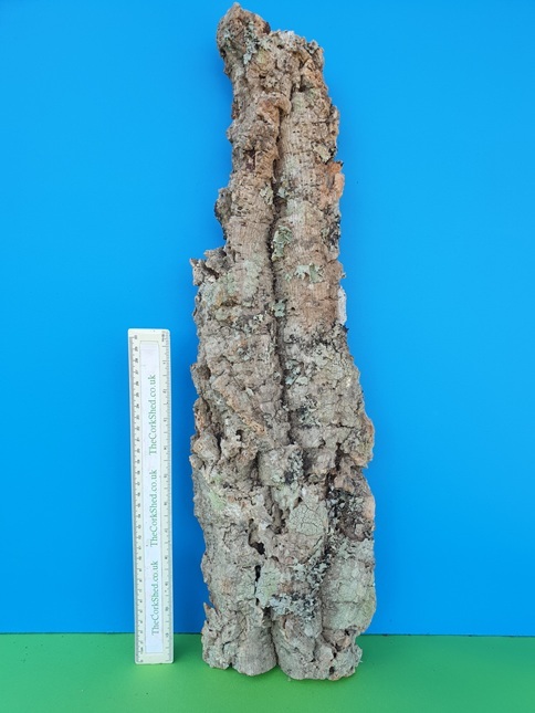 Basking Platform 58cm WBP219