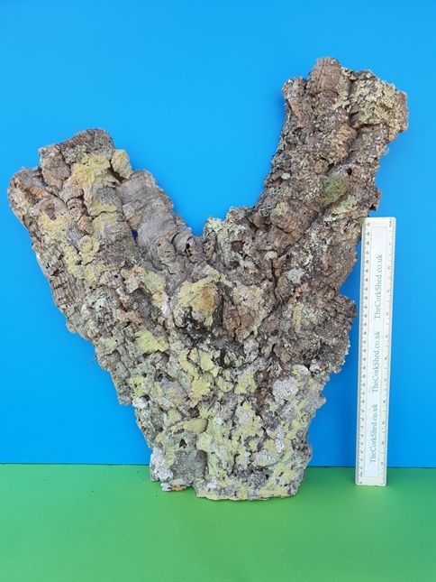 Basking Platform 47cm WBP221