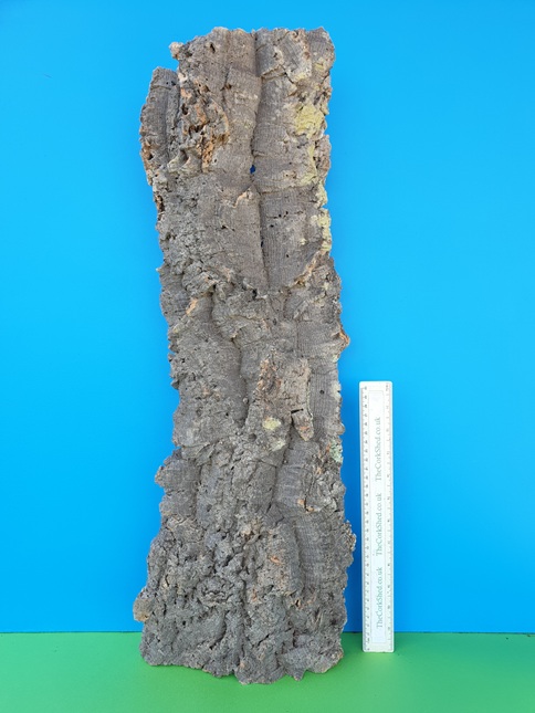 Basking Platform 67cm WBP228