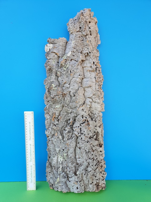 Basking Platform 69cm WBP230