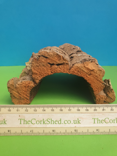 Cave / Hide WC6 - Image 2