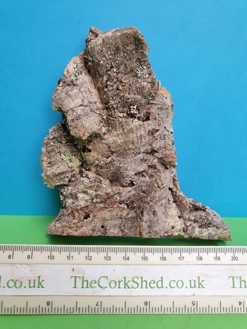 Cork Bark Rock Face 15cm WRF113