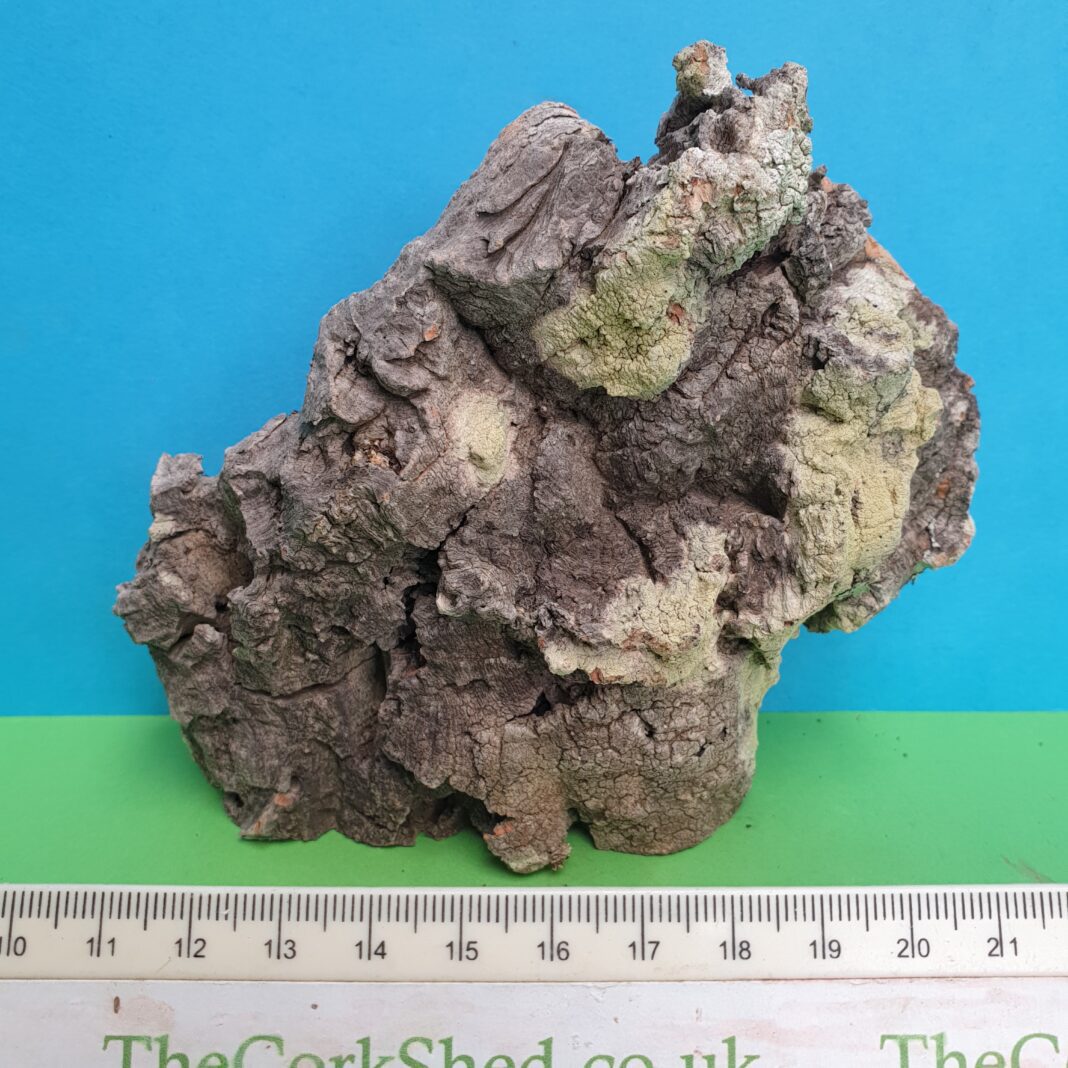 Cork Bark Rock Face 12cm WRF143