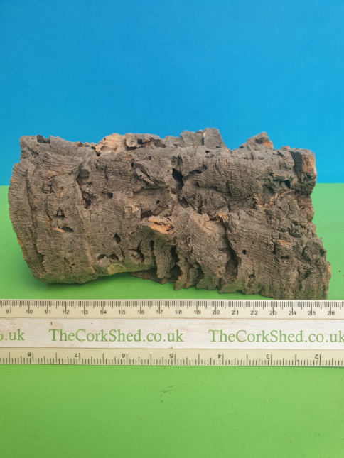 Cave / Hide WC57 - Image 3