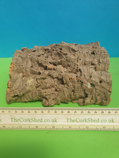 Cave / Hide WC66 - Image 3