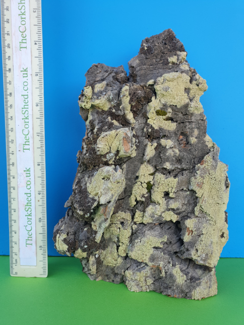 Plant Mount 22cm WOP172