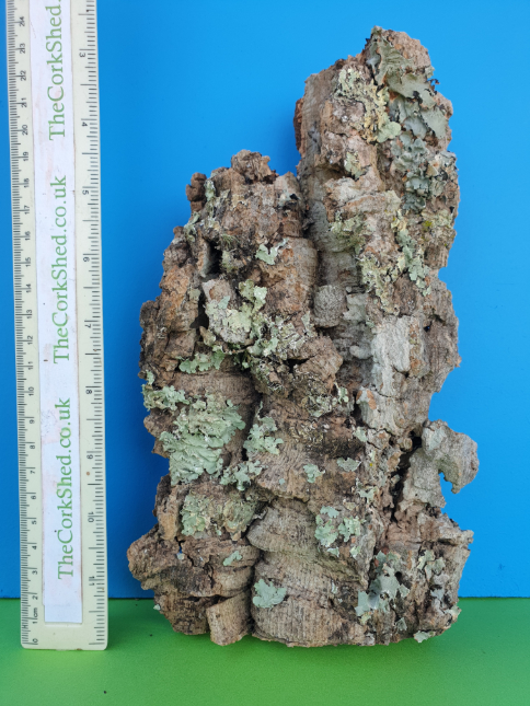 Plant Mount 24cm WOP176