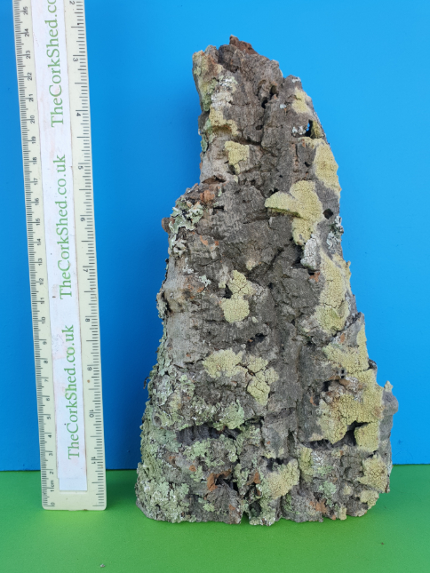 Plant Mount 25cm WOP185