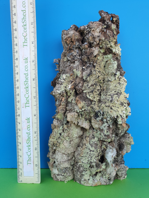 Plant Mount 25cm WOP186