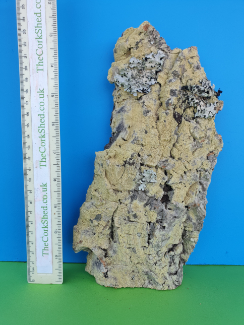 Plant Mount 25cm WOP199