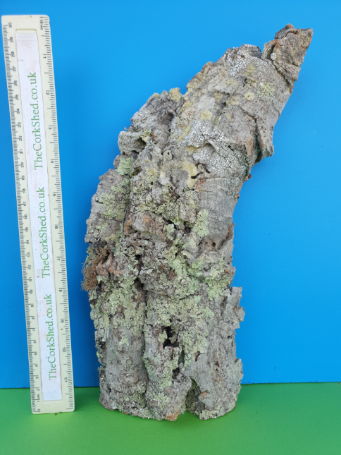 Plant Mount 30cm WOP226