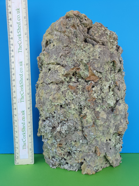 Plant Mount 26cm WOP236