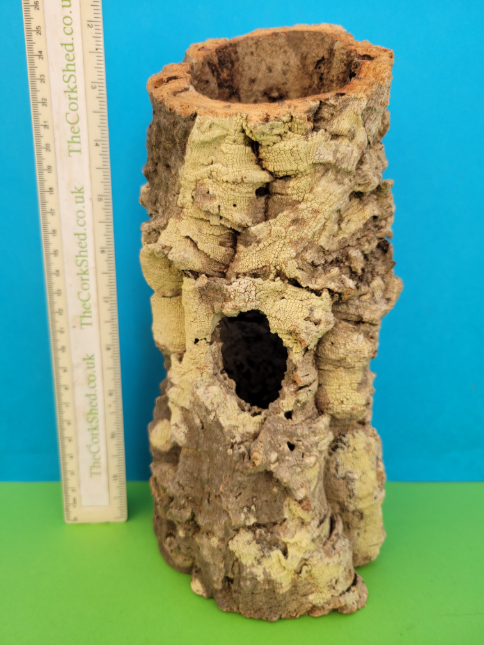 Cork Tube W16T35 27cm