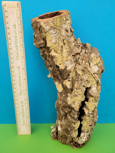 Cork Tube W16T40 31cm