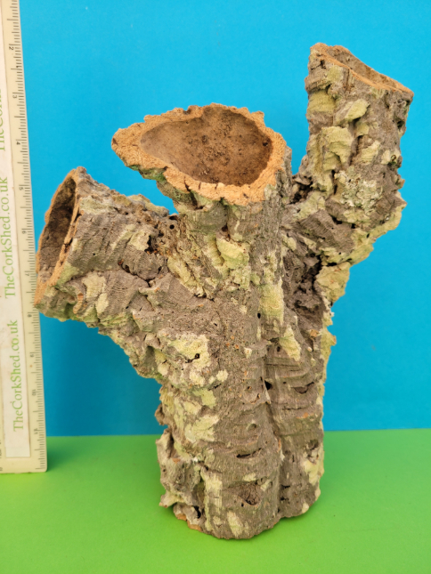 Cork Tube W19T15 32cm